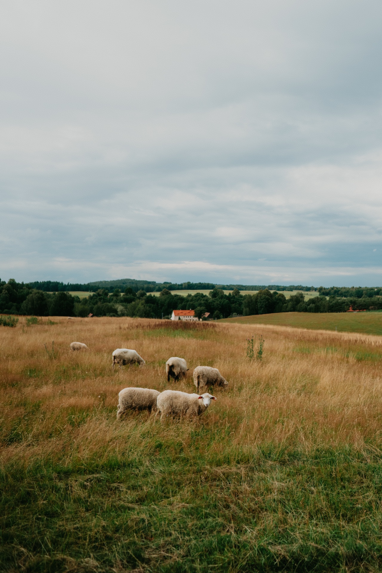 Naluka domky - balkon